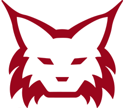 ChainLynx Logo